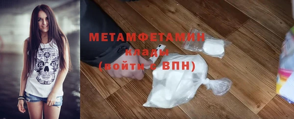 гидра Богородск