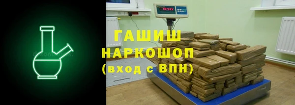гидра Богородск